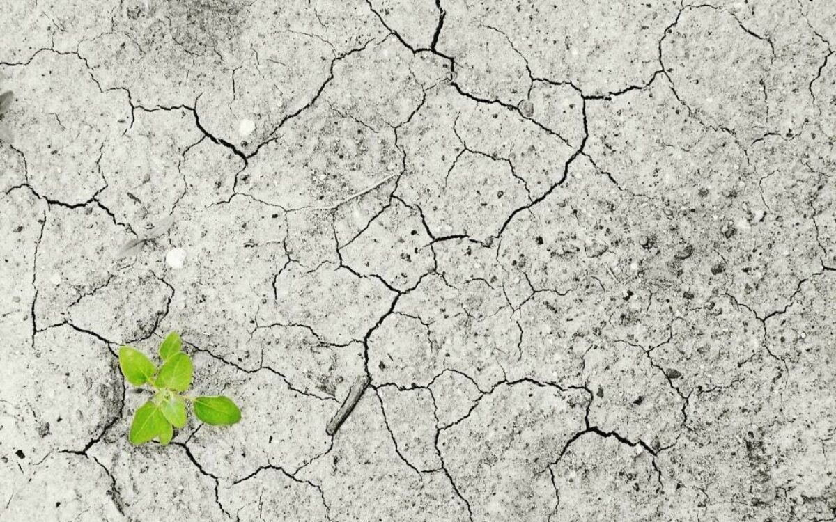 1611831108klimawandel trocken 1611831108klimawandel trocken